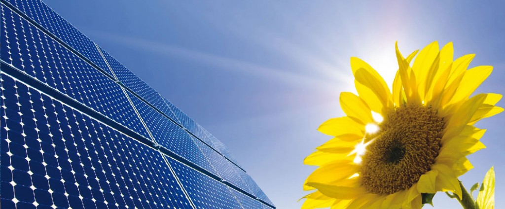 ENERGIE RINNOVABILI 1